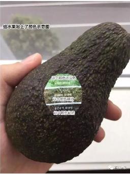 ʵڹ(й½)ٷվ