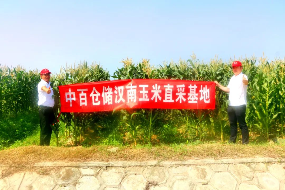 ʵڹ(й½)ٷվ